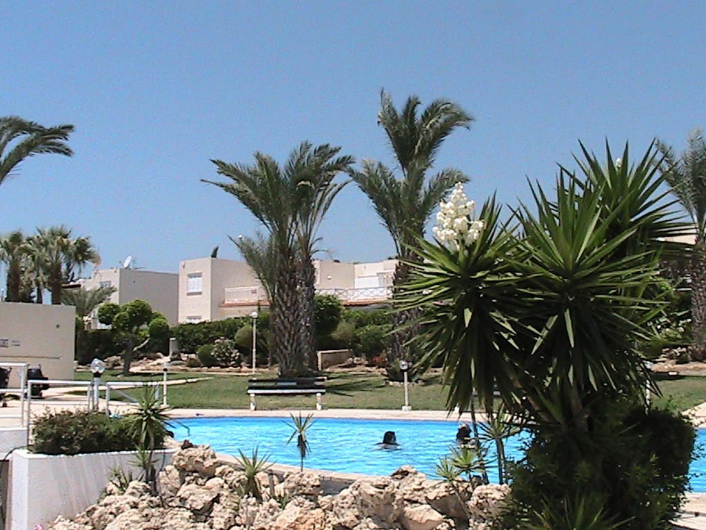Happy Holiday Κόλπος των Κοραλλιών Δωμάτιο φωτογραφία